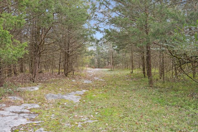 1522 Walnut Grove Rd, Christiana, TN 37037