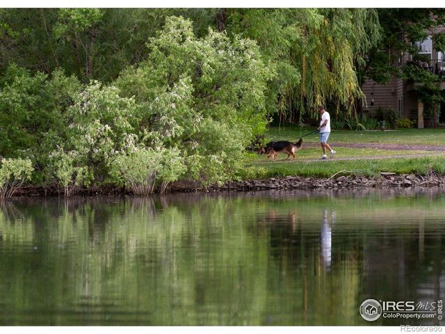 459 Cape Dory Drive, Loveland, CO 80537