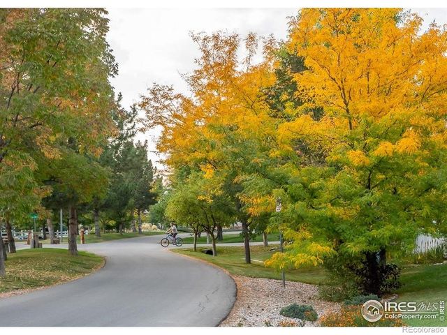 459 Cape Dory Drive, Loveland, CO 80537