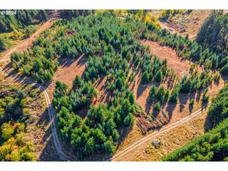 Nw Lodge Rd, Banks, OR 97106