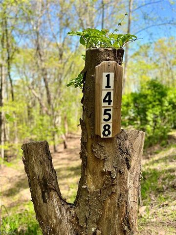 1458 Merridon Drive, Pinnacle, NC 27043