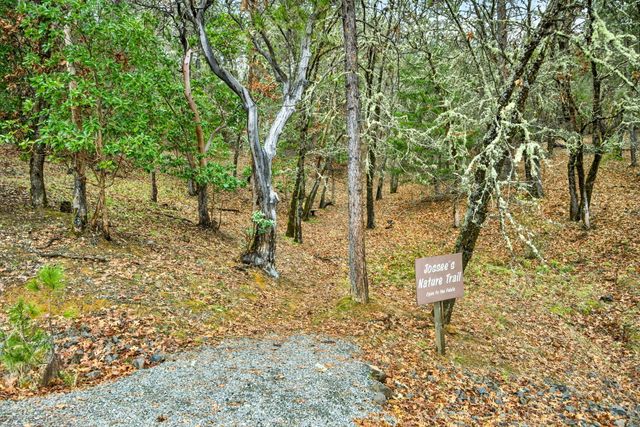 350 Josephines Way, Jacksonville, OR 97530