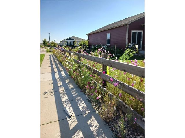 7002 Shavano Cir, Frederick, CO 80504