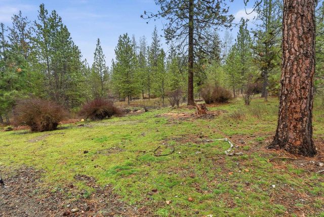 12914 W Suncrest Cir, Nine Mile Falls, WA 99026