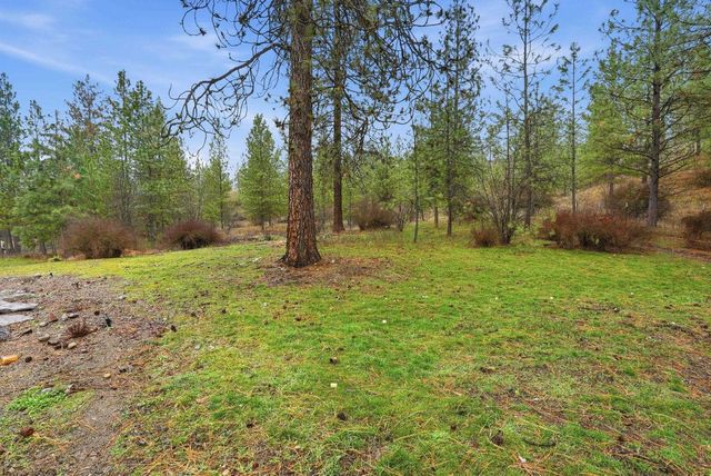 12914 W Suncrest Cir, Nine Mile Falls, WA 99026