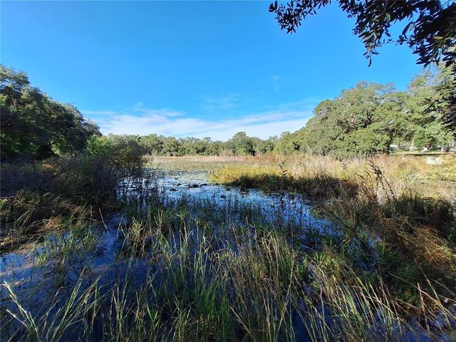 1210 SE 174TH AVENUE, Silver Springs, FL 34488