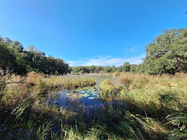 1210 SE 174TH AVENUE, Silver Springs, FL 34488