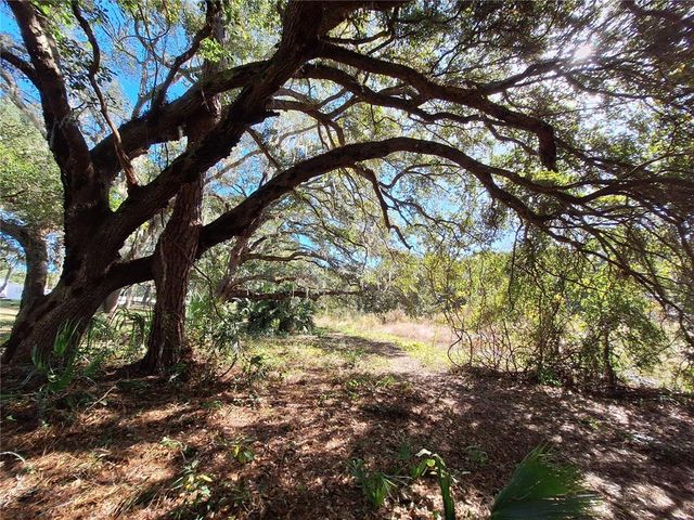 1210 SE 174TH AVENUE, Silver Springs, FL 34488