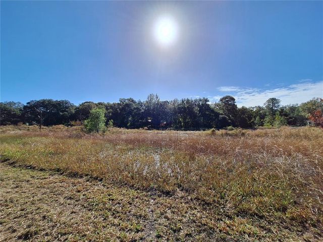 1210 SE 174TH AVENUE, Silver Springs, FL 34488