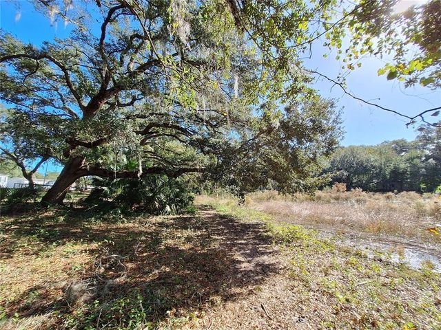 1210 SE 174TH AVENUE, Silver Springs, FL 34488