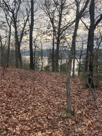 TBD Hickory Springs Road, Hindsville, AR 72738