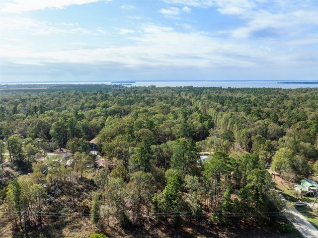 136 Warbler Lane, Livingston, TX 77351