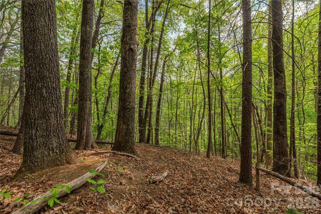 0000 Pressley Creek Road, Cullowhee, NC 28723