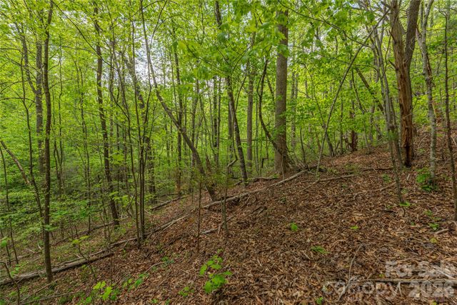 0000 Pressley Creek Road, Cullowhee, NC 28723