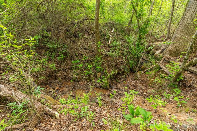0000 Pressley Creek Road, Cullowhee, NC 28723