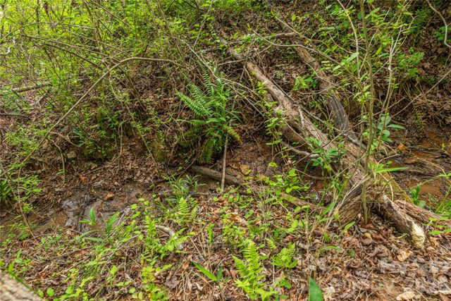 0000 Pressley Creek Road, Cullowhee, NC 28723