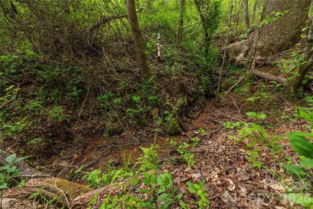 0000 Pressley Creek Road, Cullowhee, NC 28723