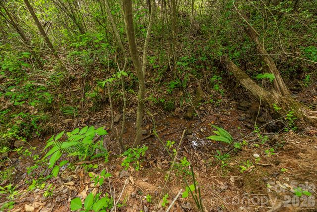 0000 Pressley Creek Road, Cullowhee, NC 28723