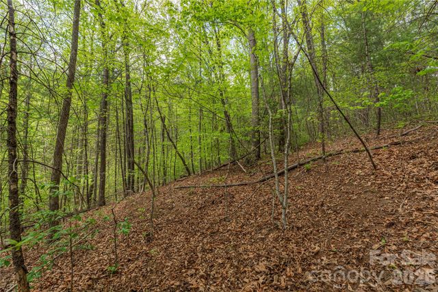 0000 Pressley Creek Road, Cullowhee, NC 28723