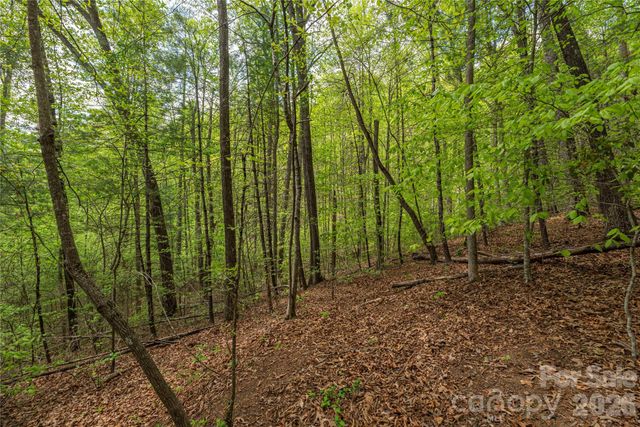 0000 Pressley Creek Road, Cullowhee, NC 28723