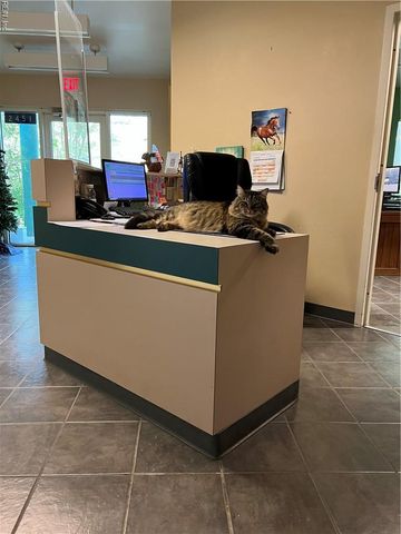 2451 Lake Cohoon RD, Suffolk, VA 23434