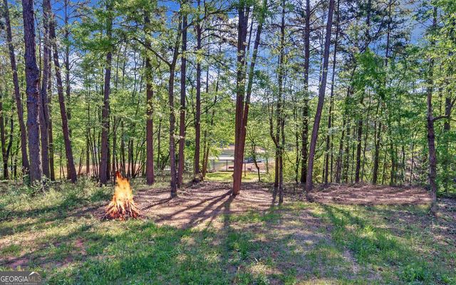 529 Chase Landing Road, Martin, GA 30557