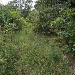 0 STATE ROUTE 34, Hurricane, WV 25526