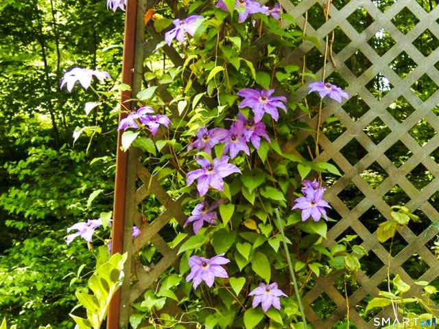 208 Cascade Road, Stamford, CT 06903