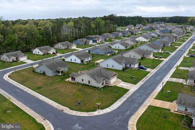 25291 TANNIN CIR, Milton, DE 19968