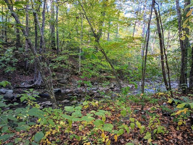 5080 Holly Creek Cool Springs Road, Chatsworth, GA 30705