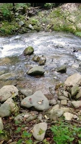 5080 Holly Creek Cool Springs Road, Chatsworth, GA 30705