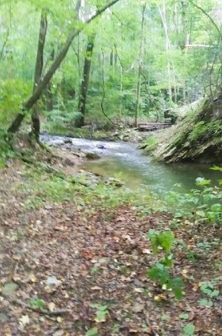 5080 Holly Creek Cool Springs Road, Chatsworth, GA 30705