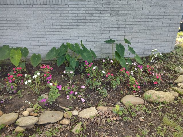 5080 Holly Creek Cool Springs Road, Chatsworth, GA 30705