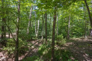 4515 Chicopee Trail, Durham, NC 27707