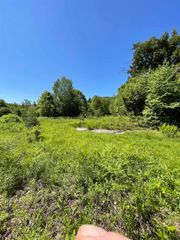 * ALDER PLAINS Road, Bradford, NH 03221