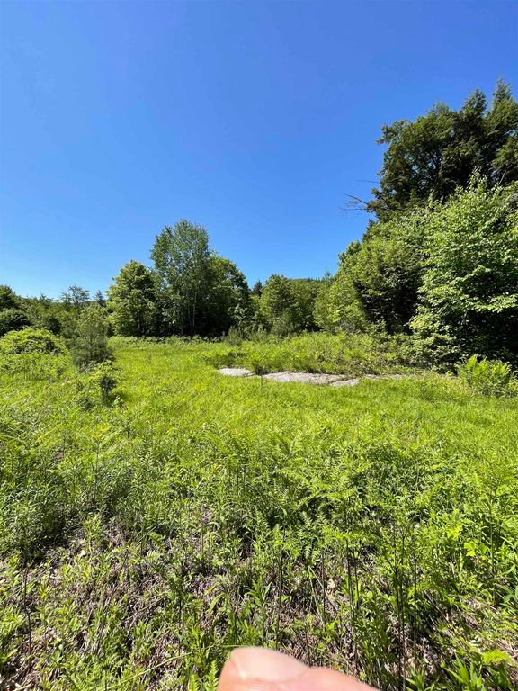 * ALDER PLAINS Road, Bradford, NH 03221