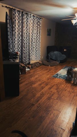 100 Kendall Dr Drive, Salesville, AR 72653