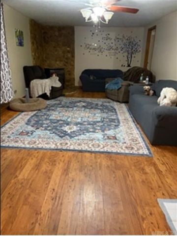 100 Kendall Dr Drive, Salesville, AR 72653