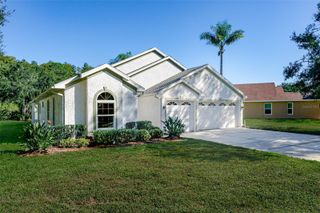 315 TAVERNIER DRIVE, Oldsmar, FL 34677