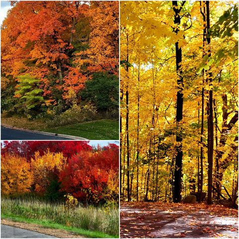 4707 Obsidian Way, Victoria, MN 55386