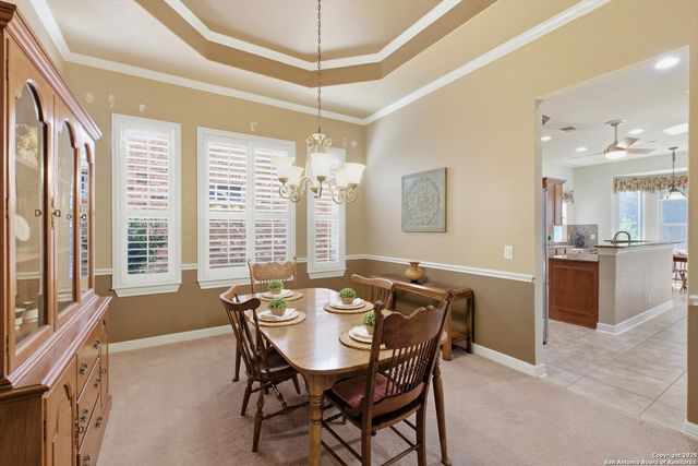 12715 Texas Thistle, San Antonio, TX 78253