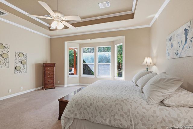 12715 Texas Thistle, San Antonio, TX 78253