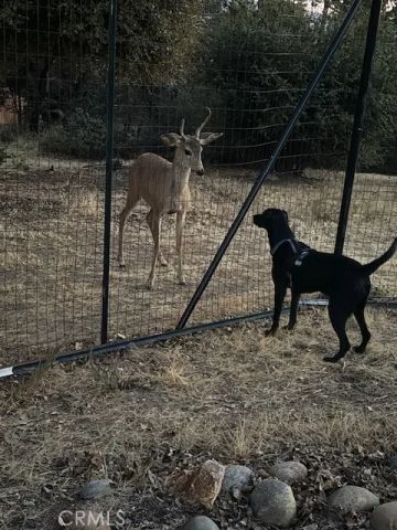 39468 Summit Drive, Oakhurst, CA 93644