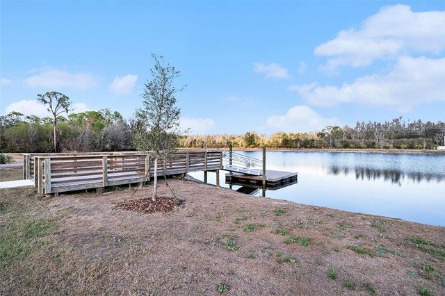 12940 HAWKSTONE TRAIL BOULEVARD, Lithia, FL 33547