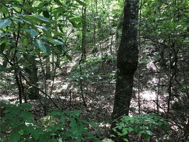587 E Valley Road NE, Rydal, GA 30171