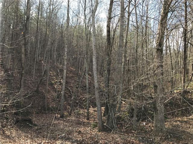 587 E Valley Road NE, Rydal, GA 30171