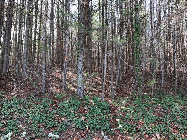 587 E Valley Road NE, Rydal, GA 30171