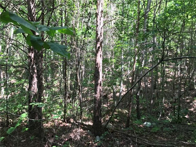 587 E Valley Road NE, Rydal, GA 30171