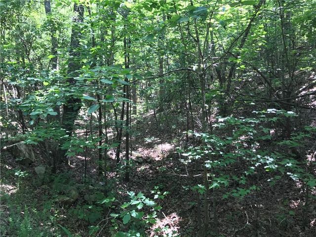 587 E Valley Road NE, Rydal, GA 30171