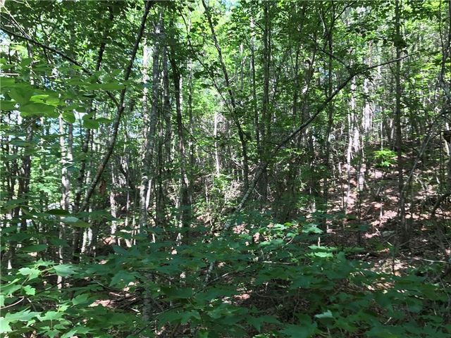 587 E Valley Road NE, Rydal, GA 30171
